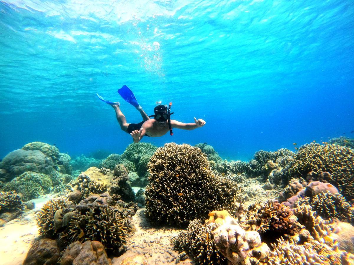 فندق Ijen Transito Ketapang  المظهر الخارجي الصورة