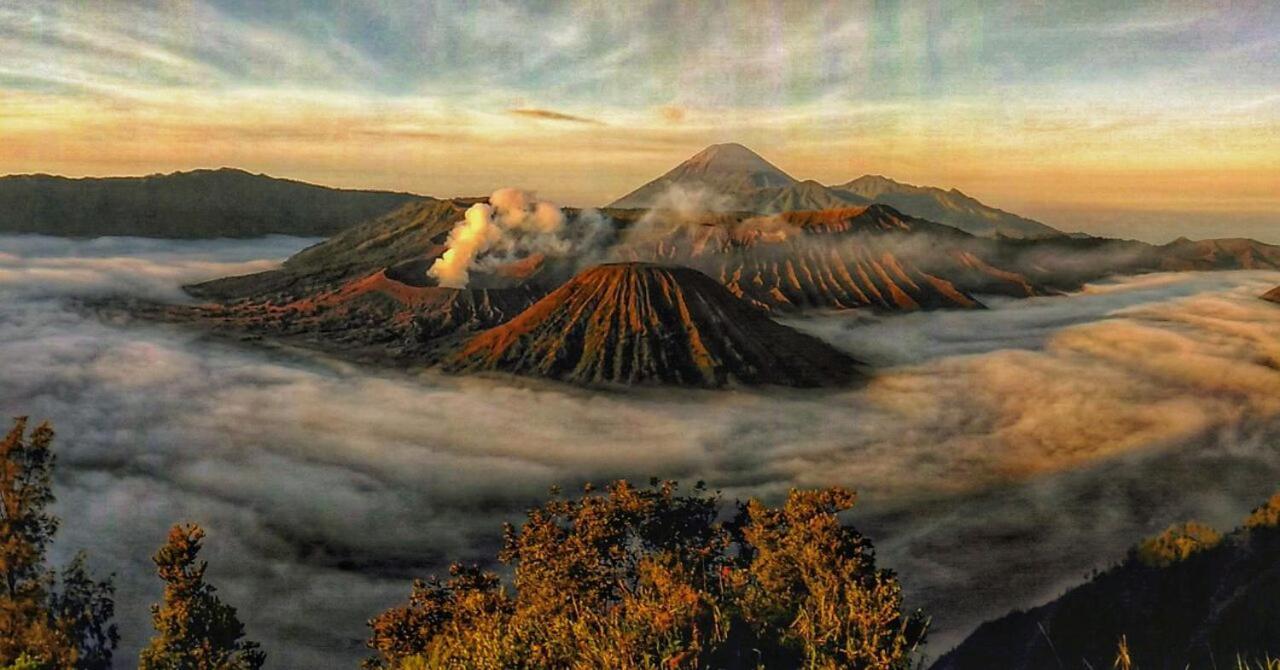 فندق Ijen Transito Ketapang  المظهر الخارجي الصورة
