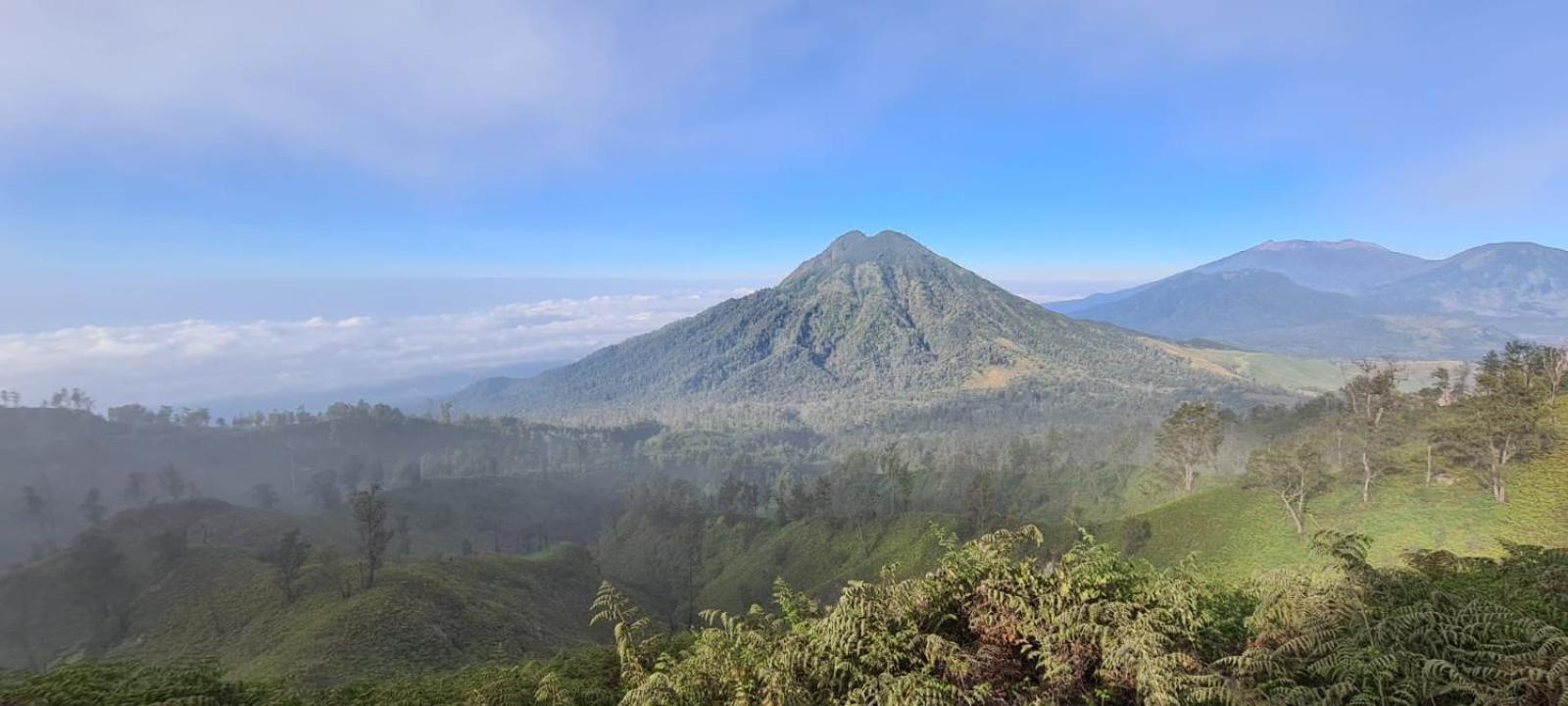 فندق Ijen Transito Ketapang  المظهر الخارجي الصورة